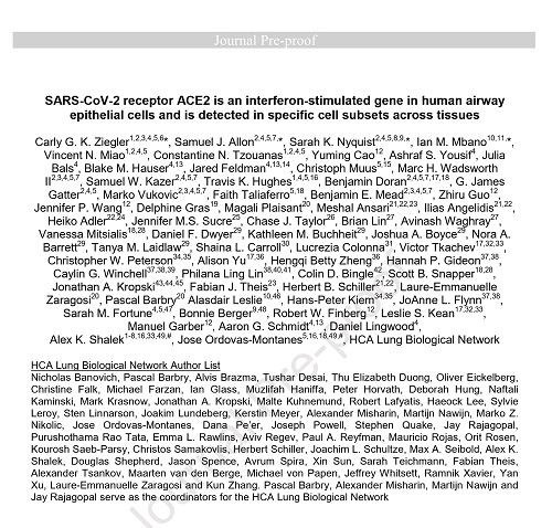 ACE2とインターフェロンγの論文.jpg
