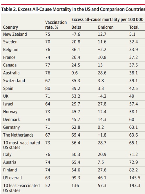 COVID-19の超過死亡率の国別比較の図.jpg