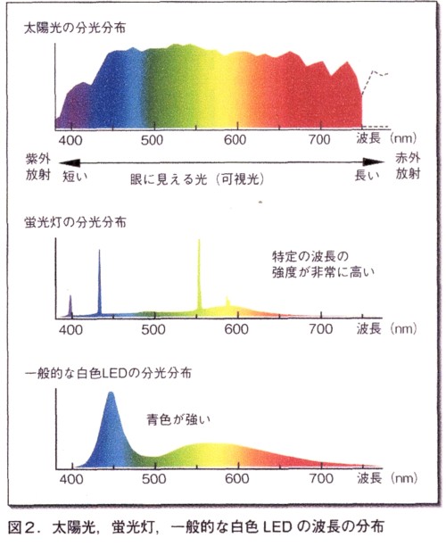 ライトのスペクトルの違い.jpg