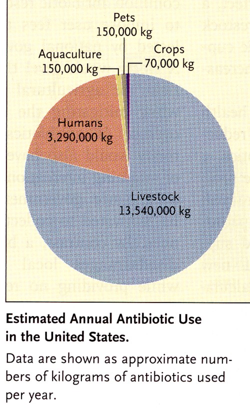 家畜の抗生物質使用量.jpg