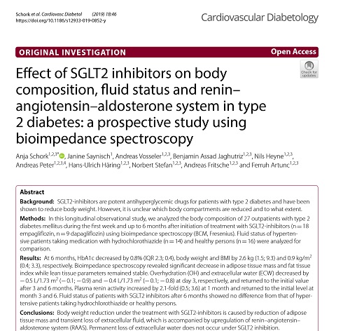 SGLT2阻害剤と体重組成の変化.jpg